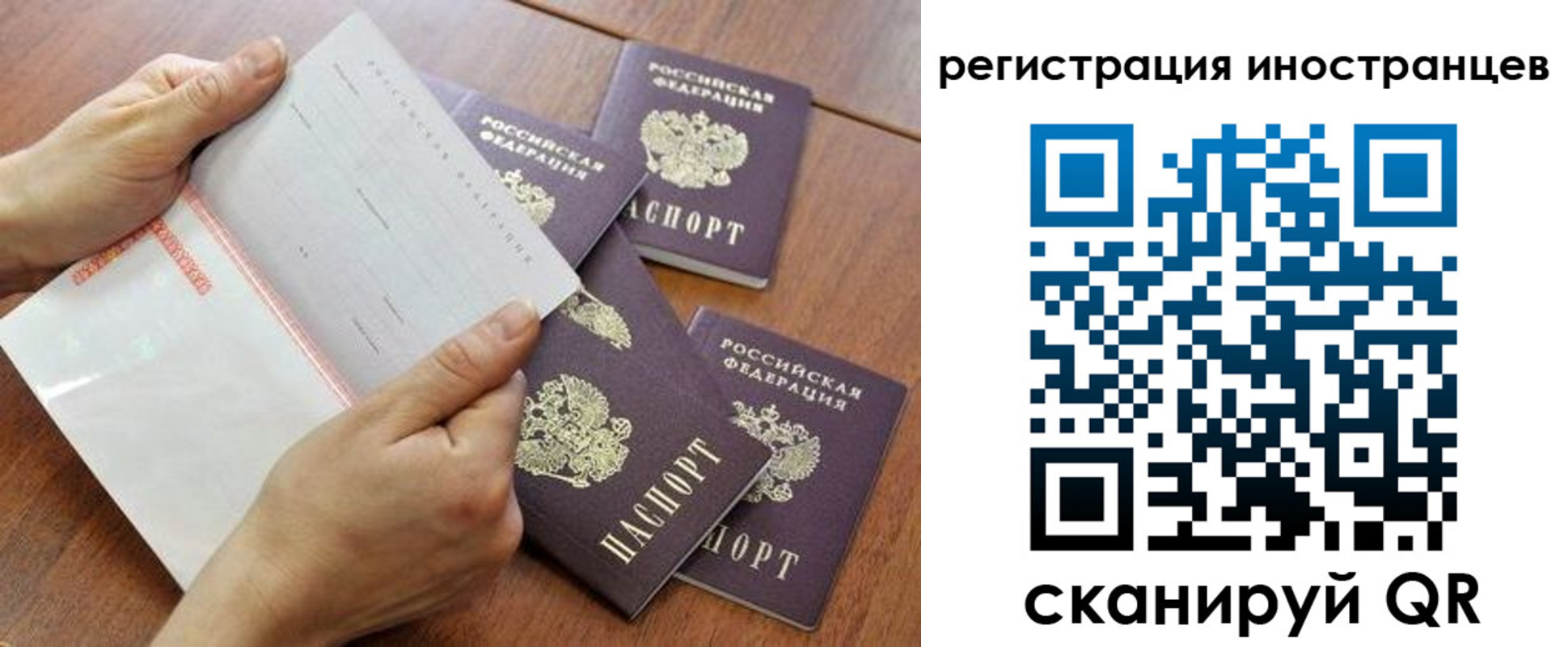 прописка поиск в Шумихе